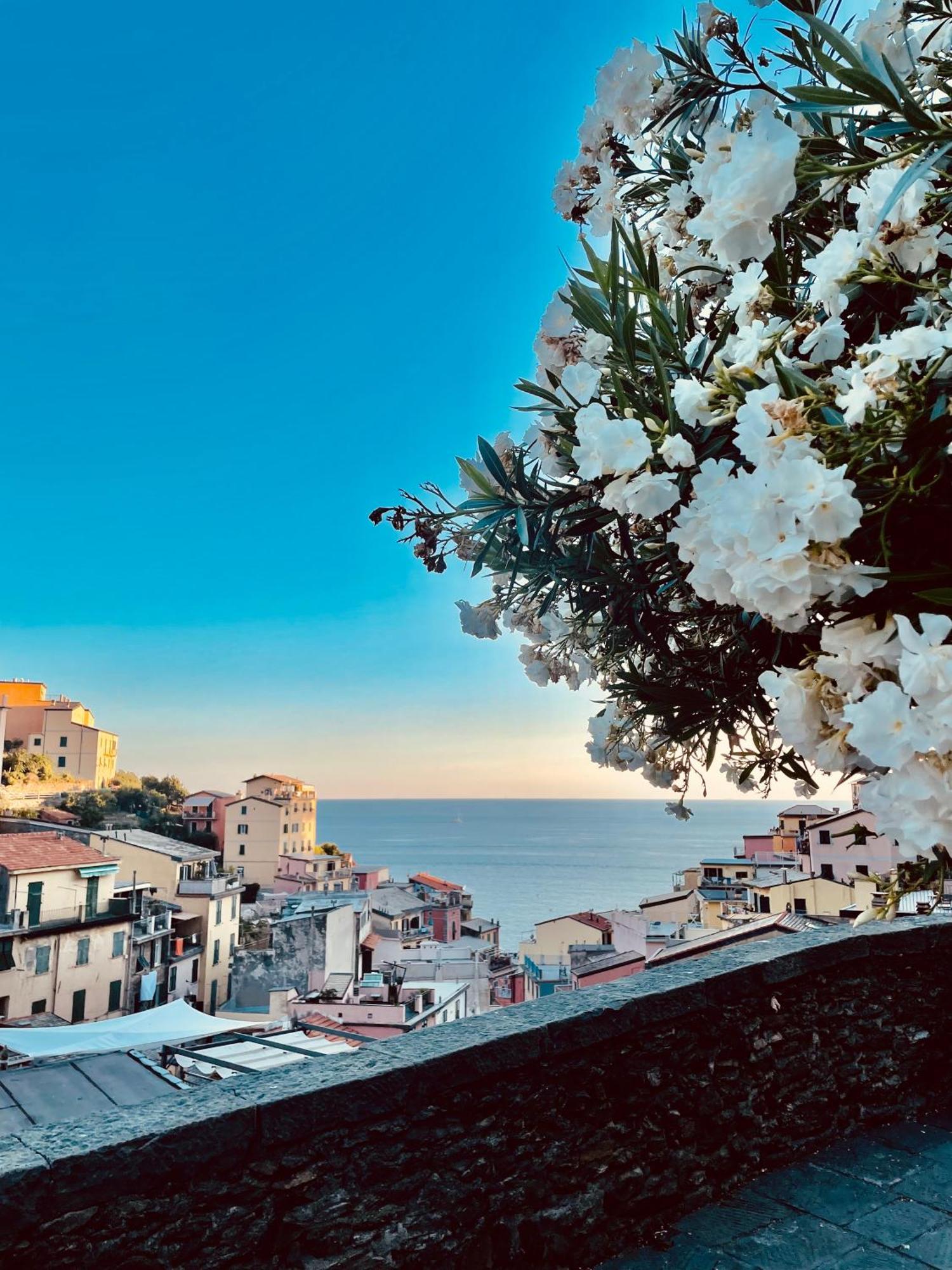 5Terreontherocks Riomaggiore Eksteriør billede